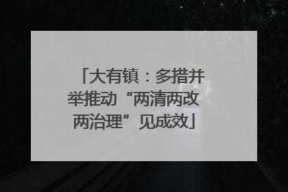 大有镇：多措并举推动“两清两改两治理”见成效