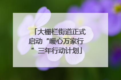 大栅栏街道正式启动“暖心万家行”三年行动计划