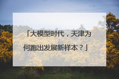 大模型时代，天津为何跑出发展新样本？
