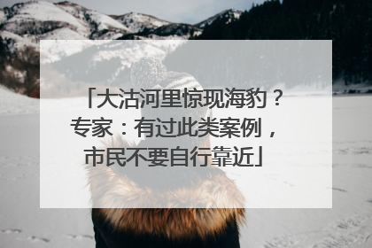 大沽河里惊现海豹？专家：有过此类案例，市民不要自行靠近