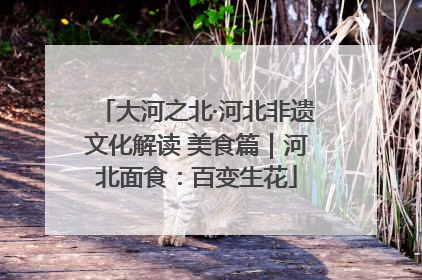 大河之北·河北非遗文化解读 美食篇｜河北面食：百变生花