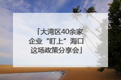 大湾区40余家企业“盯上”海口这场政策分享会