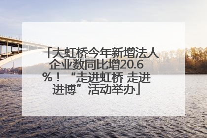 大虹桥今年新增法人企业数同比增20.6%！“走进虹桥 走进进博”活动举办