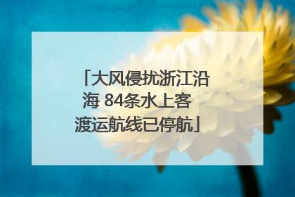 大风侵扰浙江沿海 84条水上客渡运航线已停航
