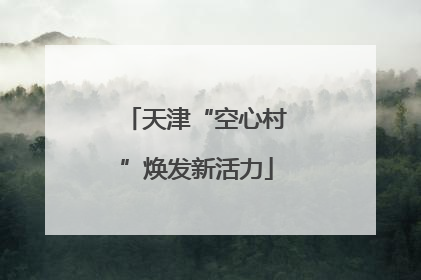 天津“空心村”焕发新活力