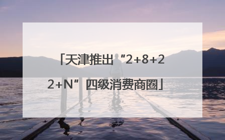 天津推出“2+8+22+N”四级消费商圈