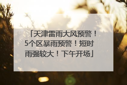 天津雷雨大风预警！5个区暴雨预警！短时雨强较大！下午开场