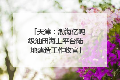 天津：渤海亿吨级油田海上平台陆地建造工作收官