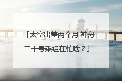 太空出差两个月 神舟二十号乘组在忙啥？