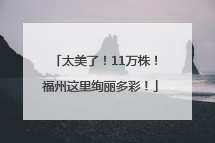 太美了！11万株！福州这里绚丽多彩！