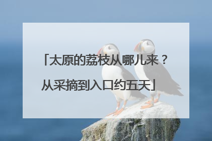太原的荔枝从哪儿来？从采摘到入口约五天
