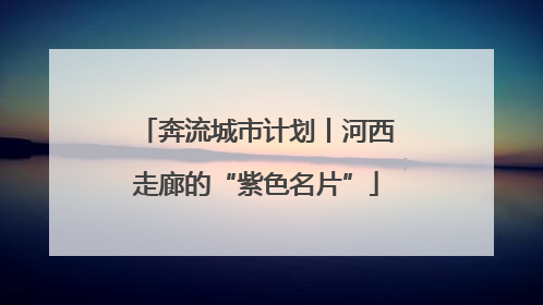 奔流城市计划丨河西走廊的“紫色名片”