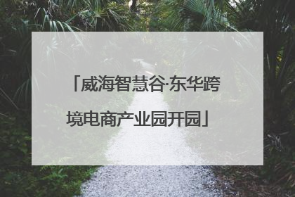 威海智慧谷·东华跨境电商产业园开园