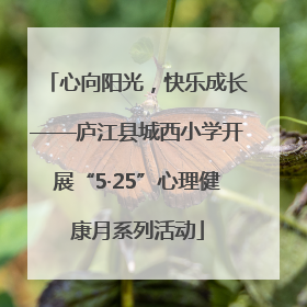 心向阳光，快乐成长——庐江县城西小学开展“5·25”心理健康月系列活动