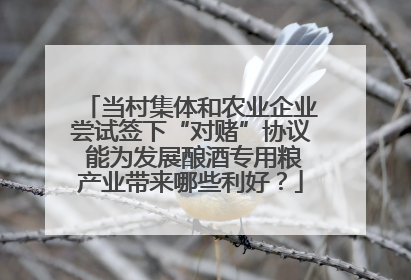 当村集体和农业企业尝试签下“对赌”协议 能为发展酿酒专用粮产业带来哪些利好？