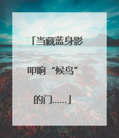 当藏蓝身影叩响“候鸟”的门……