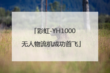 彩虹-YH1000无人物流机成功首飞