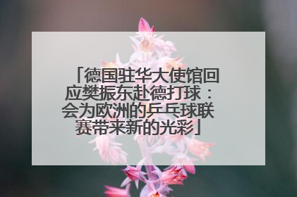 德国驻华大使馆回应樊振东赴德打球：会为欧洲的乒乓球联赛带来新的光彩