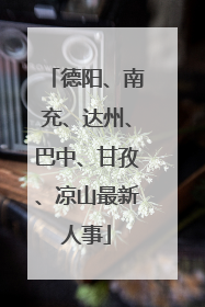 德阳、南充、达州、巴中、甘孜、凉山最新人事