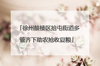 徐州鼓楼区拾屯街道多管齐下助农抢收夏粮