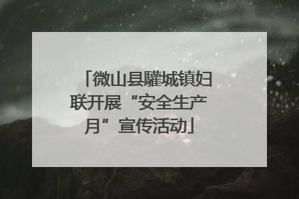 微山县驩城镇妇联开展“安全生产月”宣传活动