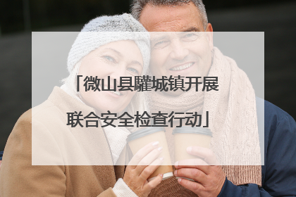 微山县驩城镇开展联合安全检查行动