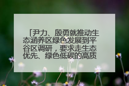 尹力、殷勇就推动生态涵养区绿色发展到平谷区调研，要求走生态优先、绿色低碳的高质量发展之路