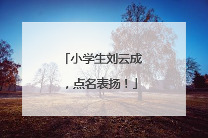 小学生刘云成，点名表扬！