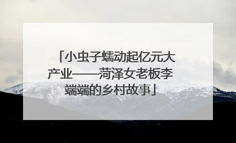 小虫子蠕动起亿元大产业——菏泽女老板李端端的乡村故事