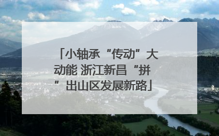 小轴承“传动”大动能 浙江新昌“拼”出山区发展新路