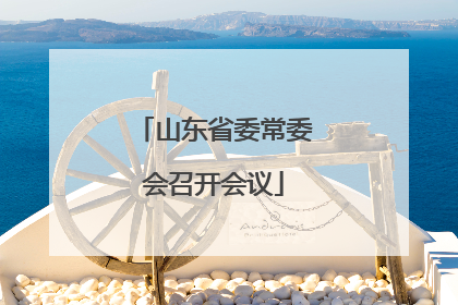 山东省委常委会召开会议