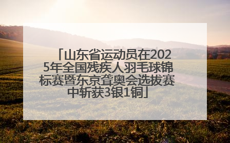 山东省运动员在2025年全国残疾人羽毛球锦标赛暨东京聋奥会选拔赛中斩获3银1铜