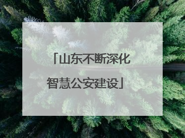 山东不断深化智慧公安建设