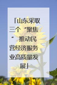 山东采取三个“聚焦” 推动民营经济服务业高质量发展