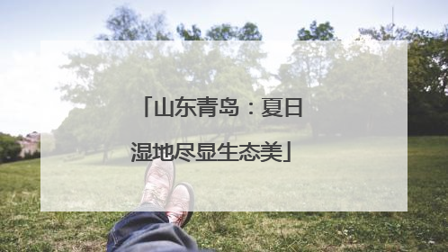 山东青岛：夏日湿地尽显生态美