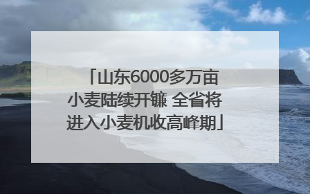 山东6000多万亩小麦陆续开镰 全省将进入小麦机收高峰期
