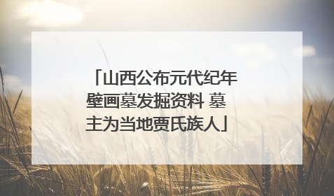 山西公布元代纪年壁画墓发掘资料 墓主为当地贾氏族人