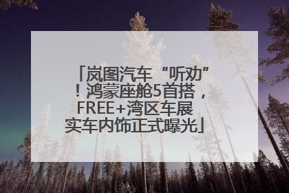 岚图汽车“听劝”！鸿蒙座舱5首搭，FREE+湾区车展实车内饰正式曝光