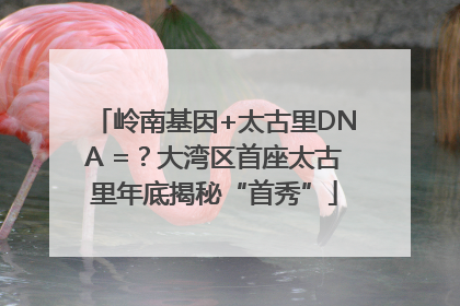 岭南基因+太古里DNA =？大湾区首座太古里年底揭秘“首秀”