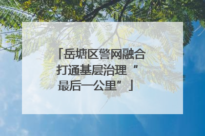 岳塘区警网融合 打通基层治理“最后一公里”
