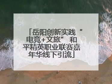 岳阳创新实践“电竞+文旅” 和平精英职业联赛嘉年华线下引流