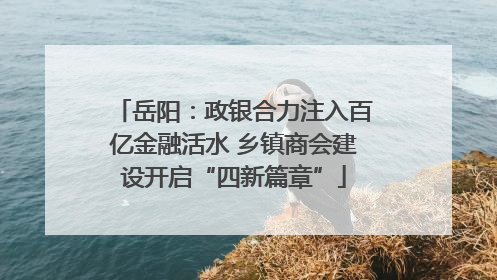 岳阳：政银合力注入百亿金融活水 乡镇商会建设开启“四新篇章”