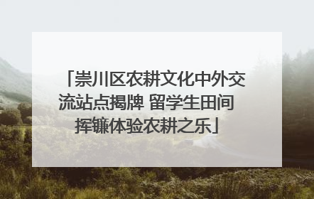 崇川区农耕文化中外交流站点揭牌 留学生田间挥镰体验农耕之乐