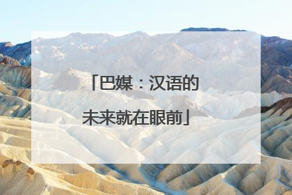 巴媒：汉语的未来就在眼前