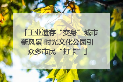 工业遗存“变身”城市新风景 时光文化公园引众多市民“打卡”