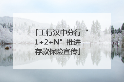 工行汉中分行“1+2+N”推进存款保险宣传