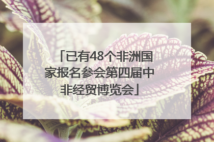 已有48个非洲国家报名参会第四届中非经贸博览会