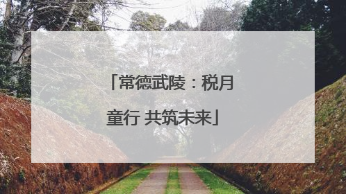 常德武陵：税月童行 共筑未来