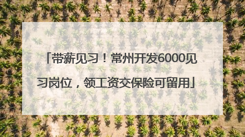 带薪见习！常州开发6000见习岗位，领工资交保险可留用