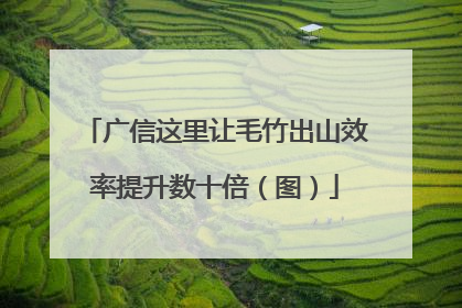 广信这里让毛竹出山效率提升数十倍（图）
